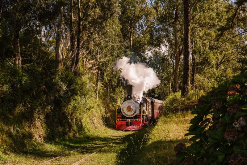 passeio de trem em garibaldi